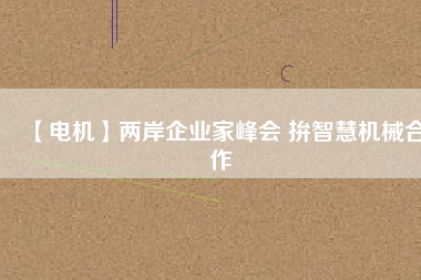 【電機】兩岸企業家峰會 拚智慧機械合作
          