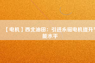 【電機】西北油田：引進永磁電機提升節能水平
          