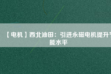 【電機】西北油田：引進永磁電機提升節能水平
          