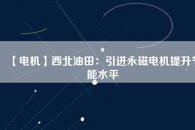 【電機】西北油田：引進永磁電機提升節能水平
          