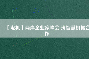 【電機】兩岸企業家峰會 拚智慧機械合作
          