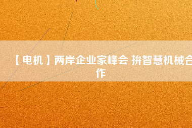 【電機】兩岸企業家峰會 拚智慧機械合作
          