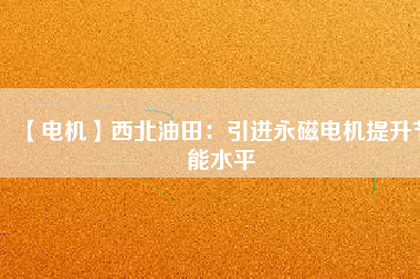 【電機】西北油田：引進永磁電機提升節能水平
          