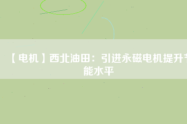 【電機】西北油田：引進永磁電機提升節能水平
          