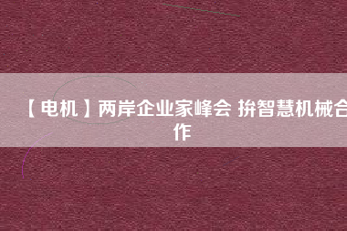 【電機】兩岸企業家峰會 拚智慧機械合作
          