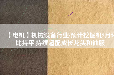 【電機】機械設備行業:預計挖掘機2月環比持平,持續超配成長龍頭和油服
          