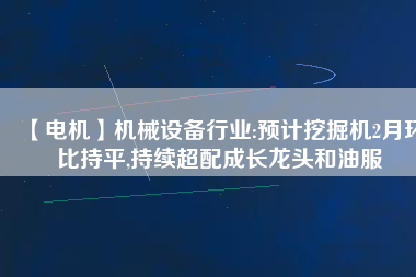 【電機】機械設備行業:預計挖掘機2月環比持平,持續超配成長龍頭和油服
          