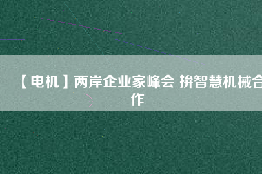 【電機】兩岸企業家峰會 拚智慧機械合作
          