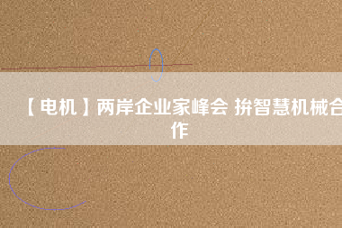 【電機】兩岸企業家峰會 拚智慧機械合作
          