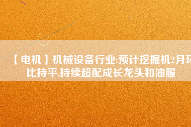 【電機】機械設備行業:預計挖掘機2月環比持平,持續超配成長龍頭和油服
          