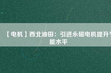 【電機】西北油田：引進永磁電機提升節能水平
          