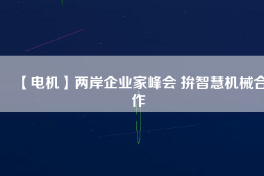 【電機】兩岸企業家峰會 拚智慧機械合作
          