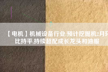 【電機】機械設備行業:預計挖掘機2月環比持平,持續超配成長龍頭和油服
          