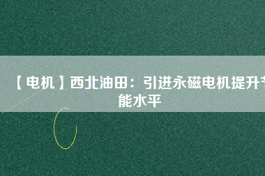 【電機】西北油田：引進永磁電機提升節能水平
          