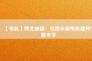 【電機】西北油田：引進永磁電機提升節能水平
          