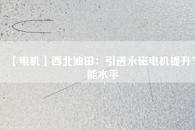 【電機】西北油田：引進永磁電機提升節能水平
          