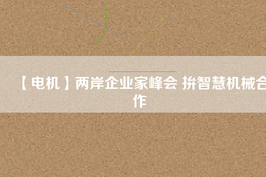 【電機】兩岸企業家峰會 拚智慧機械合作
          