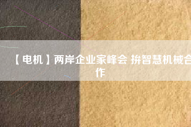 【電機】兩岸企業家峰會 拚智慧機械合作
          