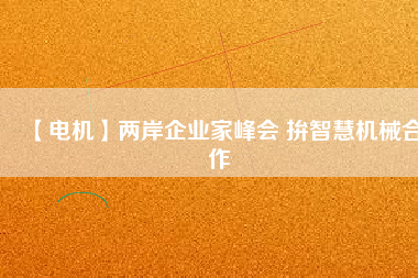 【電機】兩岸企業家峰會 拚智慧機械合作
          