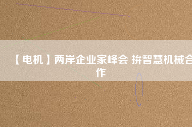 【電機】兩岸企業家峰會 拚智慧機械合作
          