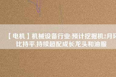 【電機】機械設備行業:預計挖掘機2月環比持平,持續超配成長龍頭和油服
          