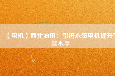 【電機】西北油田：引進永磁電機提升節能水平
          