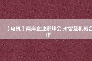 【電機】兩岸企業家峰會 拚智慧機械合作
          