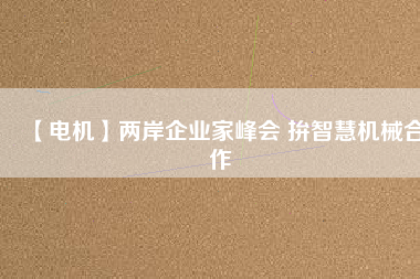 【電機】兩岸企業家峰會 拚智慧機械合作
          