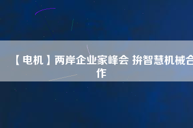 【電機】兩岸企業家峰會 拚智慧機械合作
          