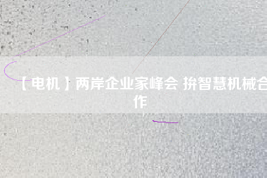 【電機】兩岸企業家峰會 拚智慧機械合作
          