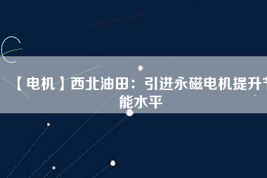 【電機】西北油田：引進永磁電機提升節能水平
          