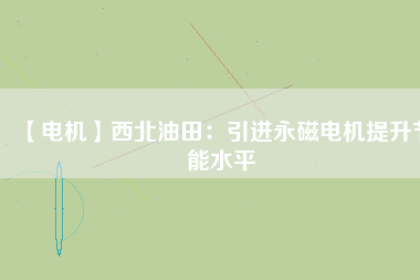 【電機】西北油田：引進永磁電機提升節能水平
          