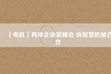 【電機】兩岸企業家峰會 拚智慧機械合作
          