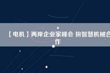 【電機】兩岸企業家峰會 拚智慧機械合作
          