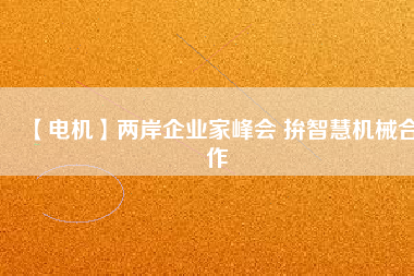 【電機】兩岸企業家峰會 拚智慧機械合作
          