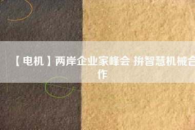 【電機】兩岸企業家峰會 拚智慧機械合作
          