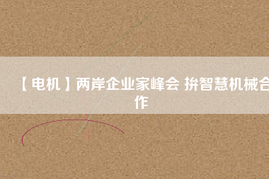 【電機】兩岸企業家峰會 拚智慧機械合作
          