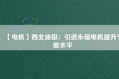 【電機】西北油田：引進永磁電機提升節能水平
          