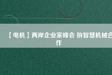 【電機】兩岸企業家峰會 拚智慧機械合作
          