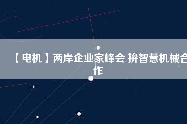 【電機】兩岸企業家峰會 拚智慧機械合作
          